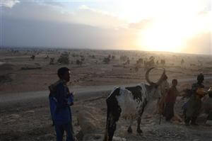 2010 Mekelle Αιθιοπίας