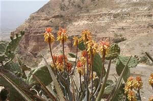 2010 Mekelle Αιθιοπίας